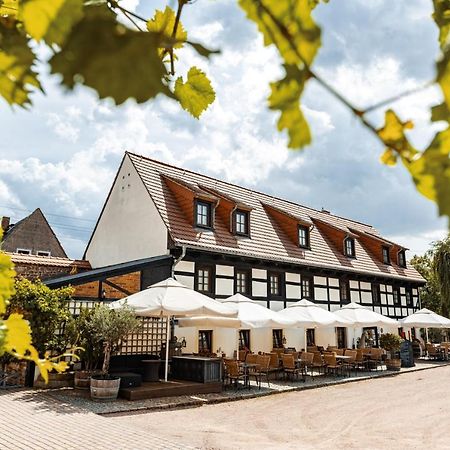 Weingut Schuh - Pension Zur Bosel Coswig  Εξωτερικό φωτογραφία