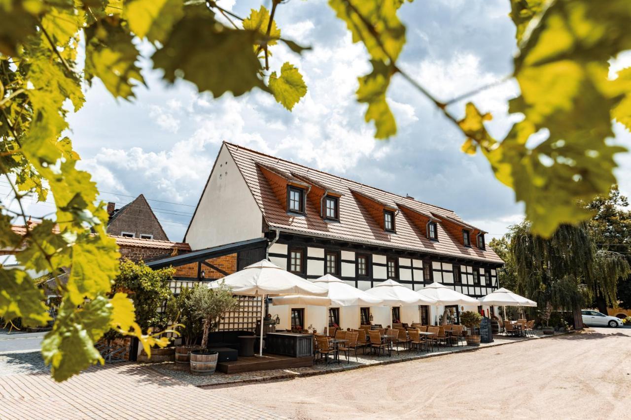 Weingut Schuh - Pension Zur Bosel Coswig  Εξωτερικό φωτογραφία